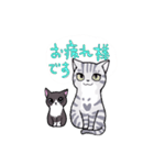 ミーメル～アメショとハチワレ猫～（個別スタンプ：6）
