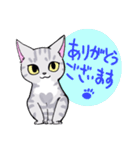 ミーメル～アメショとハチワレ猫～（個別スタンプ：13）