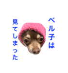 ベル子の日常スタンプ その2（個別スタンプ：9）