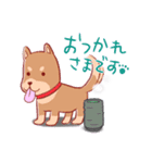 ペットの里（個別スタンプ：10）