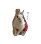 うさカフェりび（個別スタンプ：2）