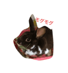 うさカフェりび（個別スタンプ：7）
