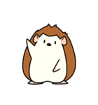 気持ちを伝えるハリネズミ（個別スタンプ：1）