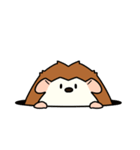気持ちを伝えるハリネズミ（個別スタンプ：39）