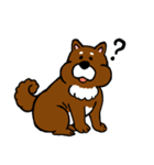 犬の豆太郎（個別スタンプ：1）