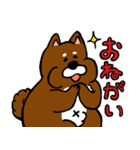 犬の豆太郎（個別スタンプ：12）