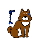 犬の豆太郎（個別スタンプ：14）