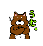 犬の豆太郎（個別スタンプ：15）