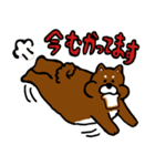 犬の豆太郎（個別スタンプ：18）