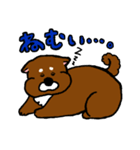 犬の豆太郎（個別スタンプ：22）