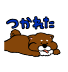 犬の豆太郎（個別スタンプ：24）