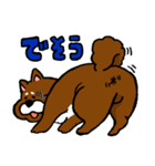 犬の豆太郎（個別スタンプ：28）