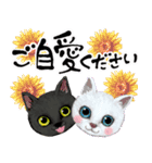 【黒猫＆白猫】夏のペットたち（個別スタンプ：7）