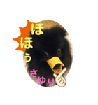 さゆりテンシン①（個別スタンプ：14）