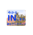 ゲームOCで使いたい。（個別スタンプ：11）
