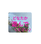 ゲームOCで使いたい。（個別スタンプ：13）