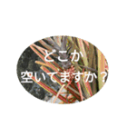 ゲームOCで使いたい。（個別スタンプ：16）