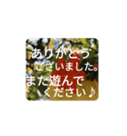 ゲームOCで使いたい。（個別スタンプ：17）