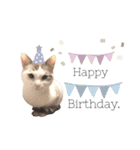 うちのふーちゃん。（個別スタンプ：5）