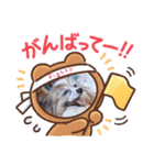 パピヨンのムーちゃん（個別スタンプ：8）