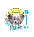 パピヨンのムーちゃん（個別スタンプ：14）