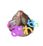 ファンシーラット大集合 第二弾（個別スタンプ：8）