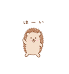 まいにちハリネズミ（個別スタンプ：7）