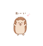 まいにちハリネズミ（個別スタンプ：8）