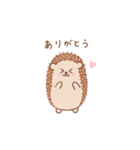 まいにちハリネズミ（個別スタンプ：11）