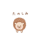 まいにちハリネズミ（個別スタンプ：14）