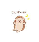 まいにちハリネズミ（個別スタンプ：16）