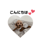 Aoto✩.*˚（個別スタンプ：15）