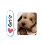 Aoto✩.*˚（個別スタンプ：16）