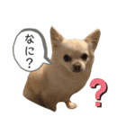リンとユキのスタンプ4（個別スタンプ：2）