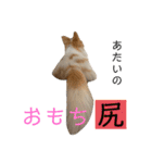 リンとユキのスタンプ4（個別スタンプ：4）