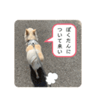 リンとユキのスタンプ4（個別スタンプ：6）
