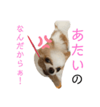リンとユキのスタンプ4（個別スタンプ：8）