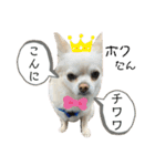 リンとユキのスタンプ4（個別スタンプ：16）
