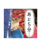 リンとユキのスタンプ4（個別スタンプ：19）