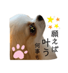 リンとユキのスタンプ4（個別スタンプ：22）