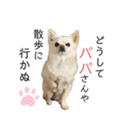 リンとユキのスタンプ4（個別スタンプ：27）
