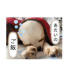リンとユキのスタンプ4（個別スタンプ：32）