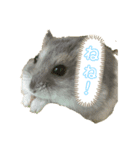 はむはむソフト（個別スタンプ：2）