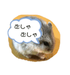 はむはむソフト（個別スタンプ：4）