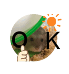 はむはむソフト（個別スタンプ：8）