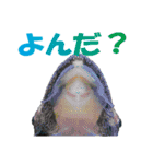 オトシン集（個別スタンプ：16）