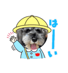 ルヴィちゃん1（個別スタンプ：1）
