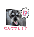 ルヴィちゃん1（個別スタンプ：4）