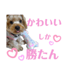 ルヴィちゃん1（個別スタンプ：8）