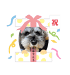ルヴィちゃん1（個別スタンプ：10）